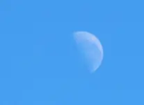 abnehmender Mond v.webp