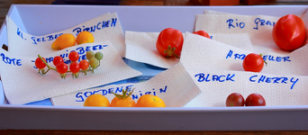 erste Sorten für 2014_1024.webp