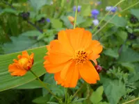 DSCN2480.webp