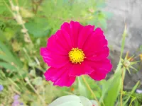 DSCN2496.webp