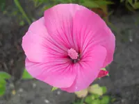 DSCN2499.webp