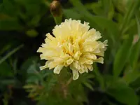 DSCN2502.webp