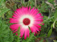 DSCN2512.webp