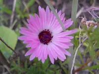 DSCN2513.webp