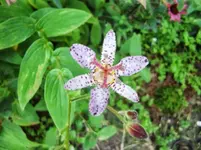CIMG0575.webp