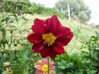 CIMG0602.webp