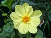 CIMG0496.webp