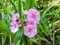 CIMG0588.webp