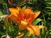 001_1024x768.webp