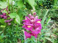 CIMG0502.webp