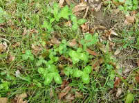 CIMG0469.webp