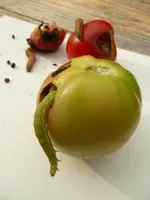 1_Grüne_R.. (1).webp
