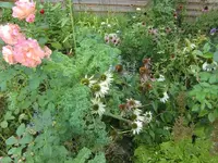 CIMG0735.webp