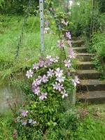 CIMG6869.webp