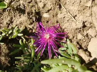 CIMG0584.webp