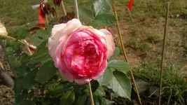 2013-08-28-3323.webp