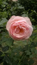 2013-08-28-3335.webp