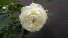 2013-08-29-3344.webp