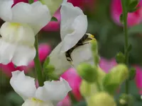 010.webp