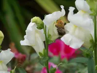 008.webp