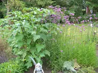 005.webp