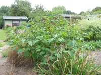 011.webp