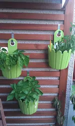 IMAG1661.webp