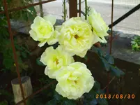 august25 077.webp