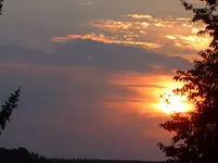 P1090128.webp