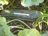 20130822_151901.webp