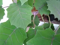 2013-08-31 15.08.02.webp