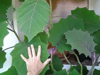 2013-08-31 15.08.17.webp