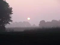 002.webp