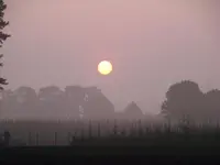 004.webp