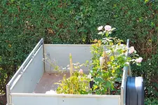 Die Neuen 31.08.13.webp