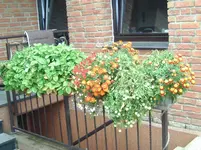 Kellereingang.webp