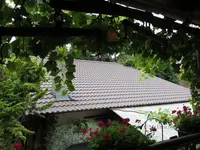 G_Stalldach_08_2013_mr.ditschy.webp