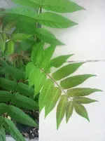 diversebilder 030.webp
