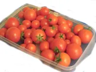 CIMG1243.webp