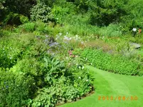 august25 010.webp