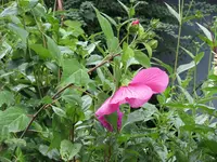 IMG_5507.webp