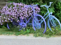 CIMG5358.webp