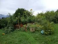 Hügelbeet-HB3 Blick. groß.webp