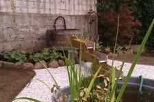 IMAG1027.webp