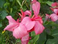 DSCN2533.webp