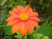 DSCN2537.webp