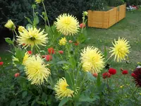 DSCN2551.webp