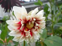 DSCN2558.webp