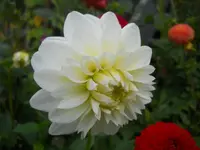 DSCN2557.webp