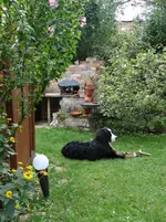 Garten5.webp
